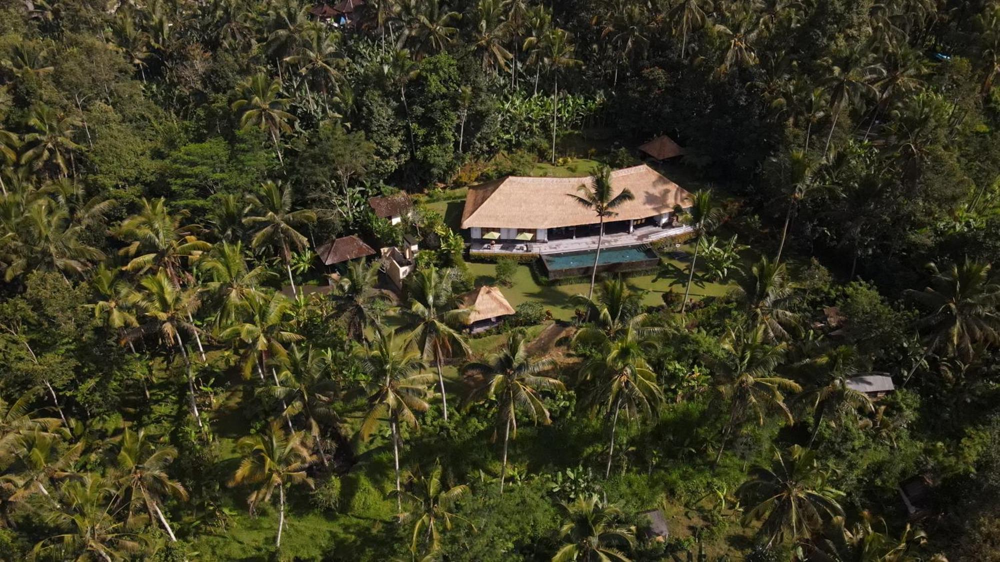 Villa Themma Jungle - Sumptuous 3Br Luxury Villa With Majestic Jungle View North Of Ubud Eksteriør billede