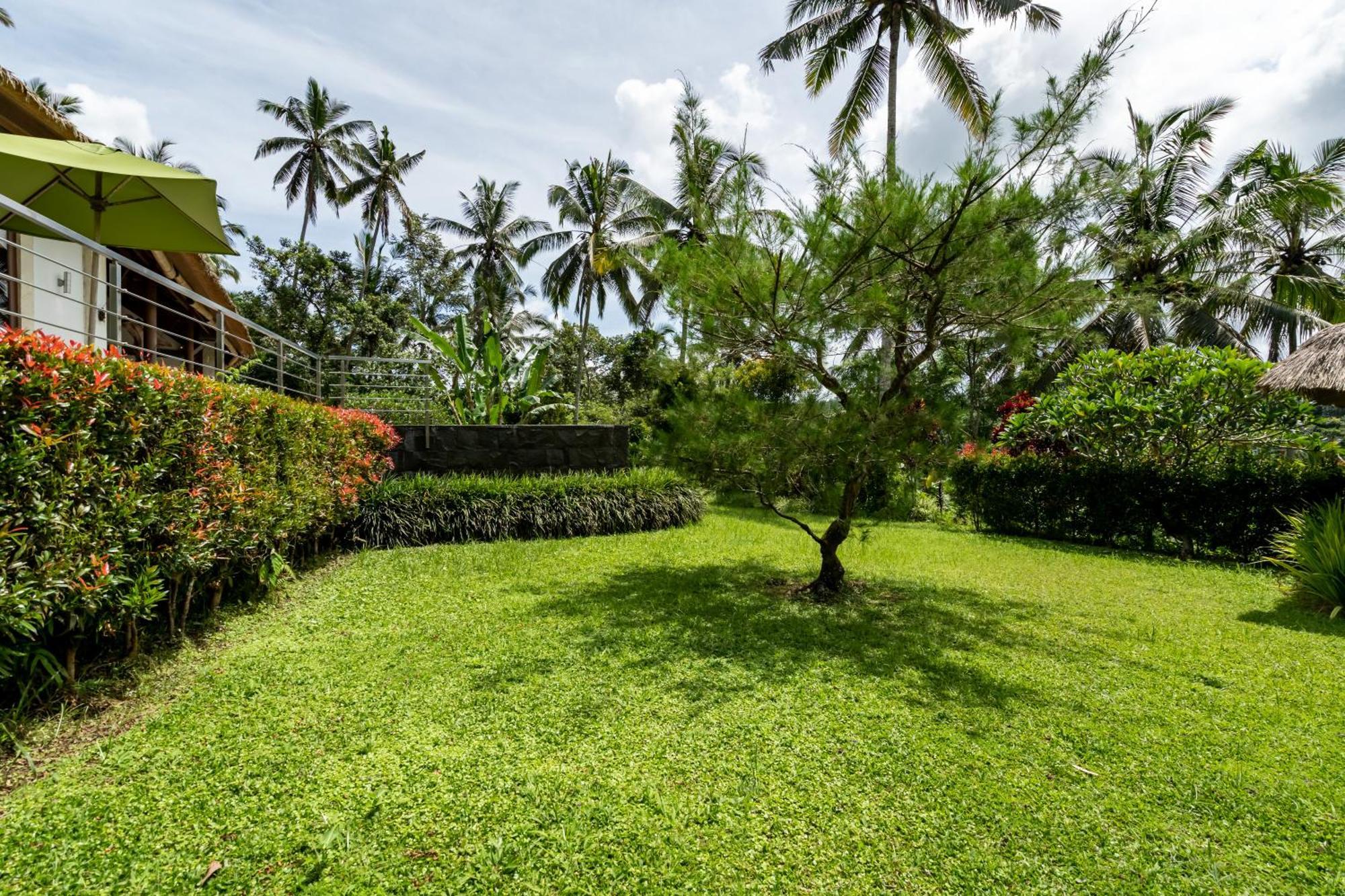 Villa Themma Jungle - Sumptuous 3Br Luxury Villa With Majestic Jungle View North Of Ubud Eksteriør billede