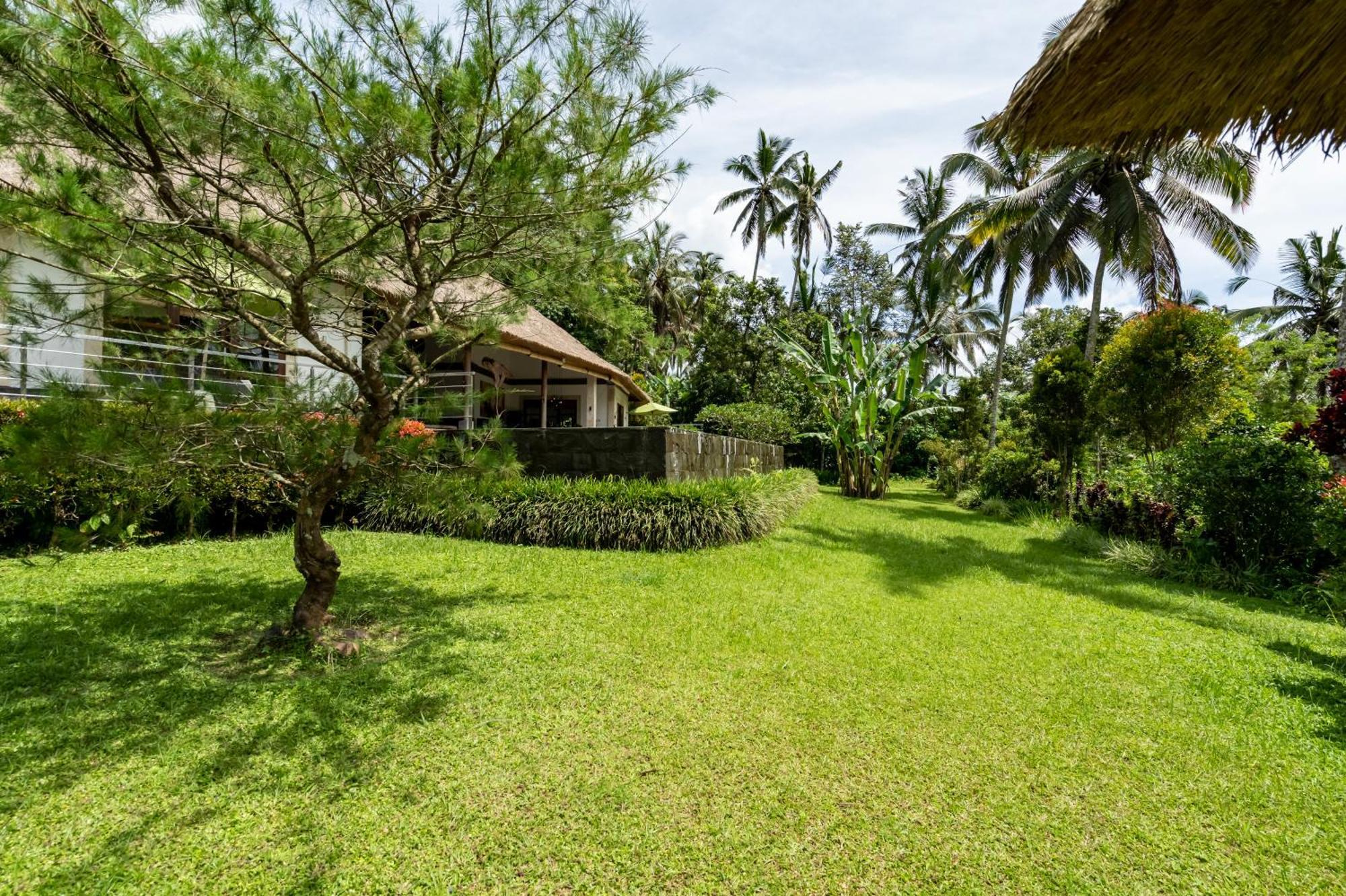 Villa Themma Jungle - Sumptuous 3Br Luxury Villa With Majestic Jungle View North Of Ubud Eksteriør billede