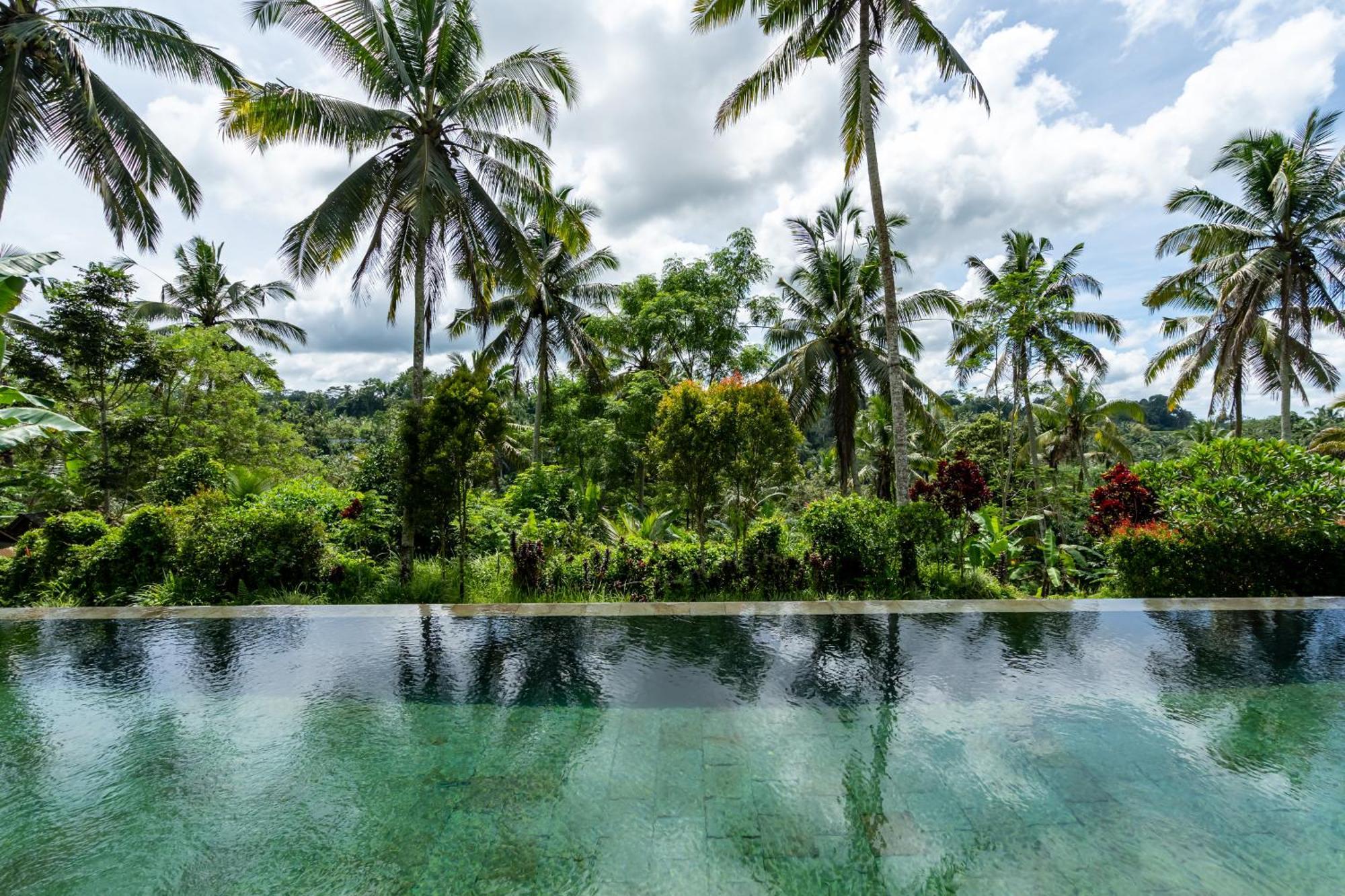 Villa Themma Jungle - Sumptuous 3Br Luxury Villa With Majestic Jungle View North Of Ubud Eksteriør billede