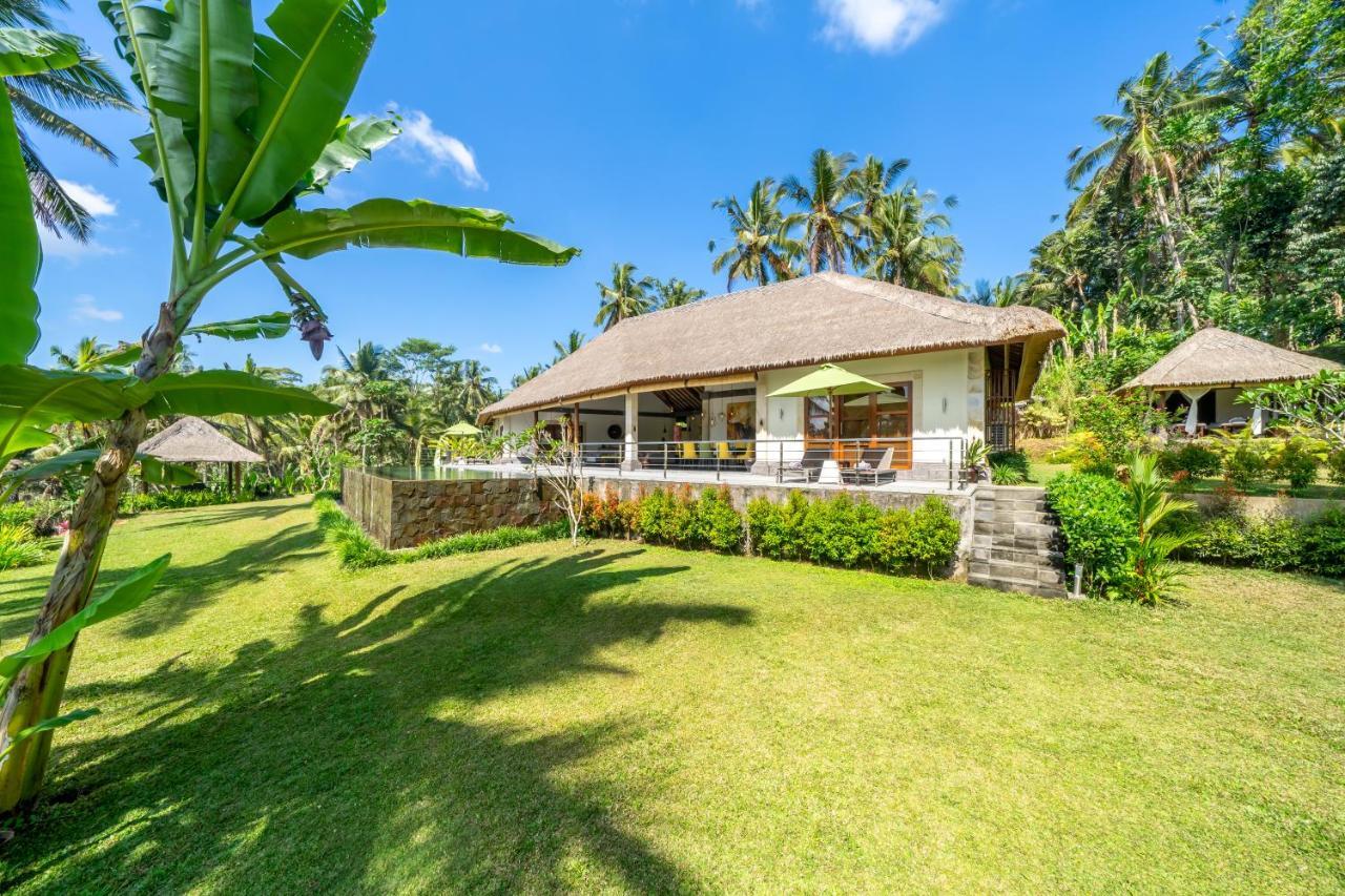 Villa Themma Jungle - Sumptuous 3Br Luxury Villa With Majestic Jungle View North Of Ubud Eksteriør billede